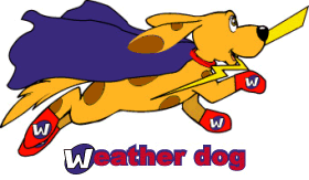 Weather Dog